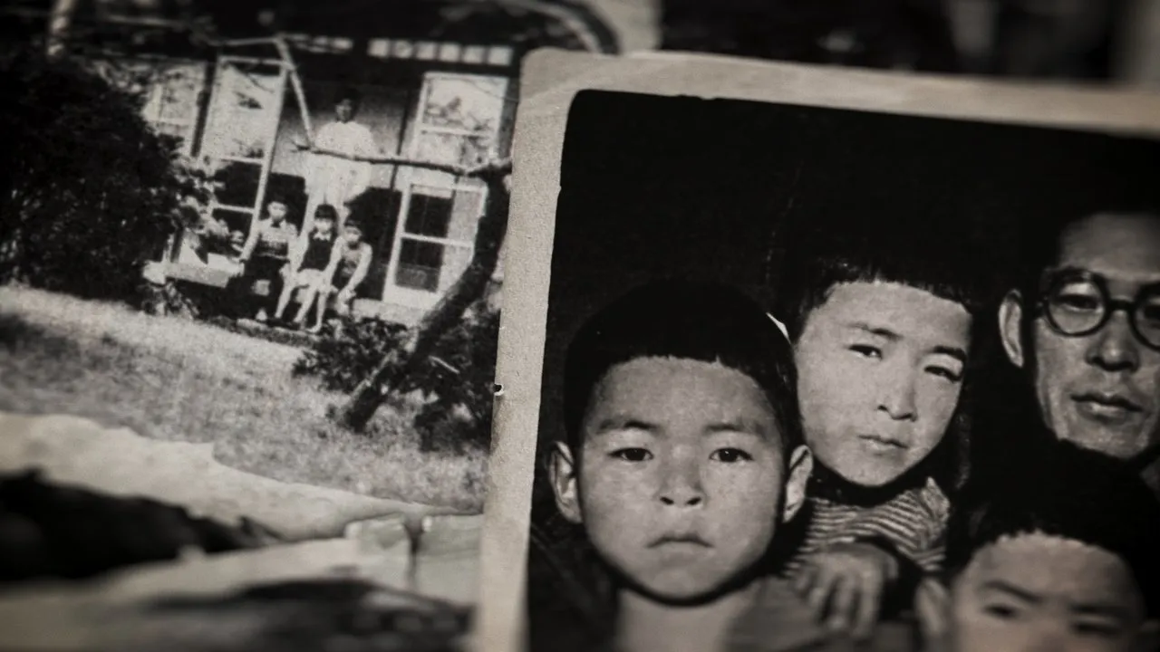 Miyazaki, l&rsquo;esprit de la nature