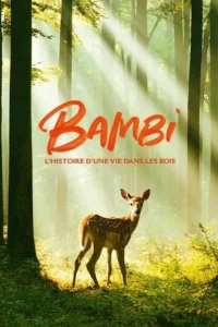 Bambi, l&rsquo;histoire d&rsquo;une vie dans les bois