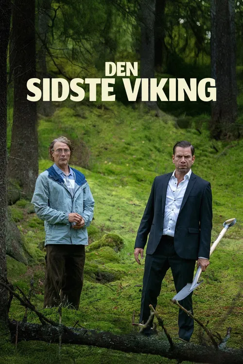 Affiche de The Last Viking
