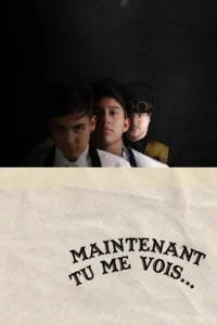 Maintenant Tu Me Vois…