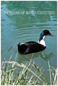 صدای پای آب