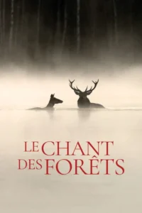 Le Chant des forêts