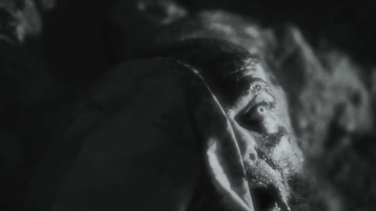 White Gardenia: The King James Bible