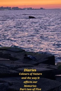 Diaries: Colours of Nature and the Way It Affects Our Memories.