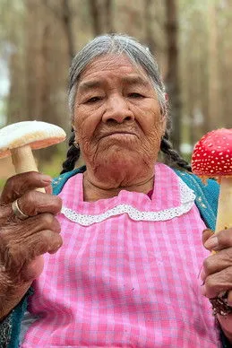 Daughters of the Forest