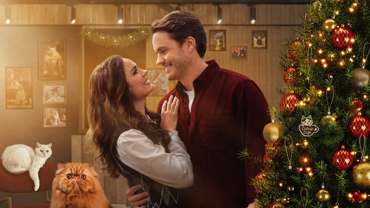 Christmas at the Catnip Café