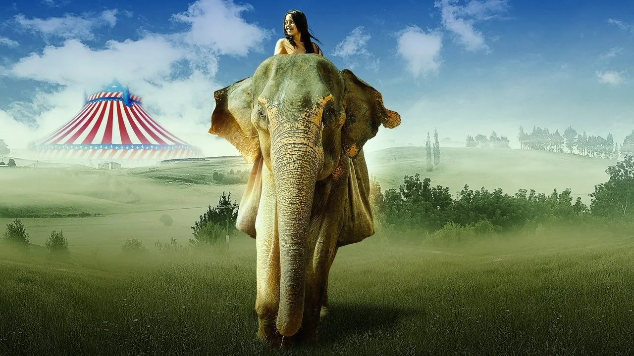 Sauvez Flora l&rsquo;éléphant