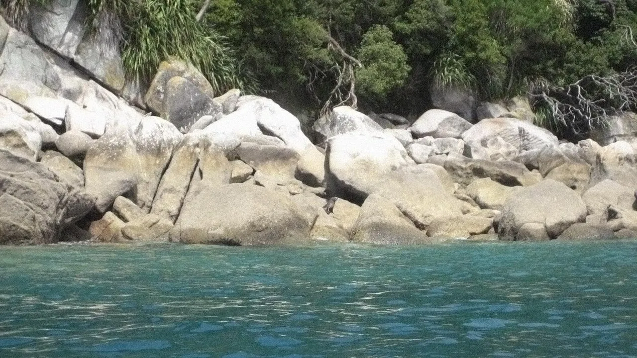 De l&rsquo;autre côté du Paradis