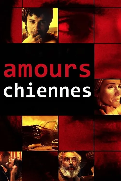 Affiche de Amours chiennes
