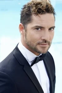 David Bisbal image 1