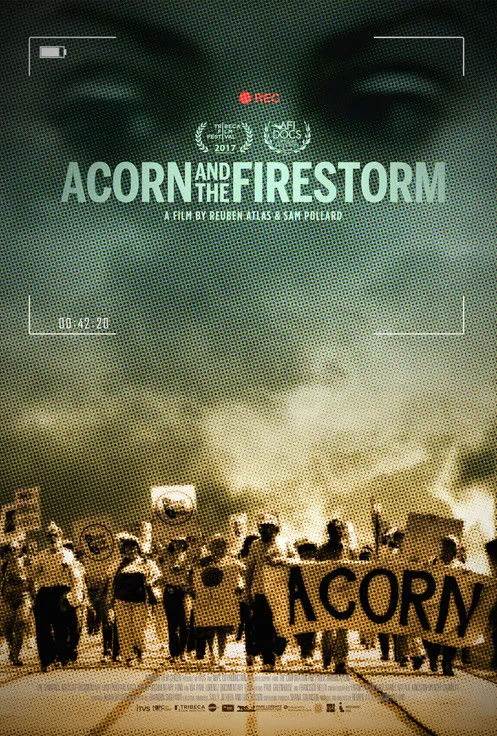 Acorn and the Firestorm image 1