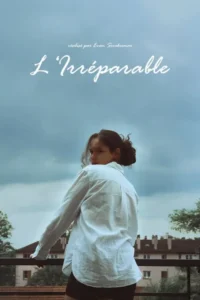 L&rsquo;irréparable