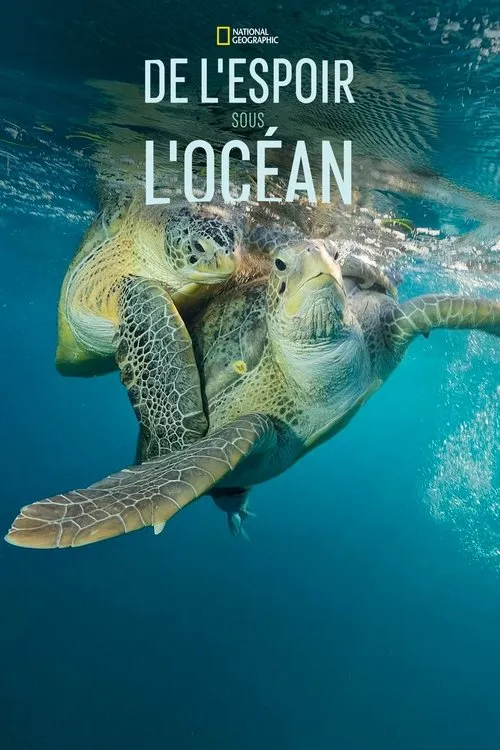 De l'espoir sous l'océan image 1