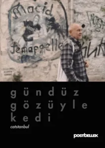 Gündüz Gözüyle Kedi
