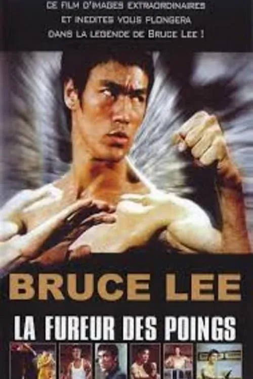 Bruce Lee : La Fureur des poings image 1