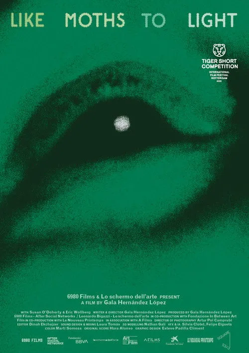 like moths to light image 1