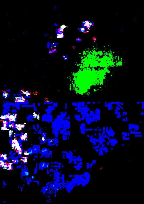 Gaze in the State of Confusion image 1