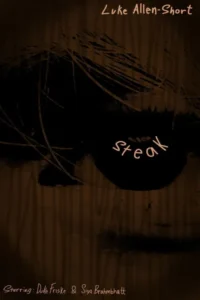 My Dinner with a Steak