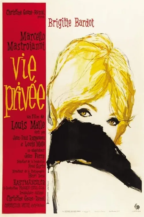 Affiche de Vie privée