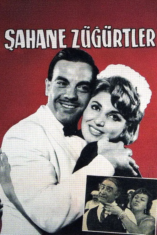 Affiche de Şahane Züğürtler