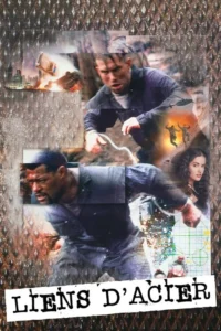 Liens d&rsquo;acier