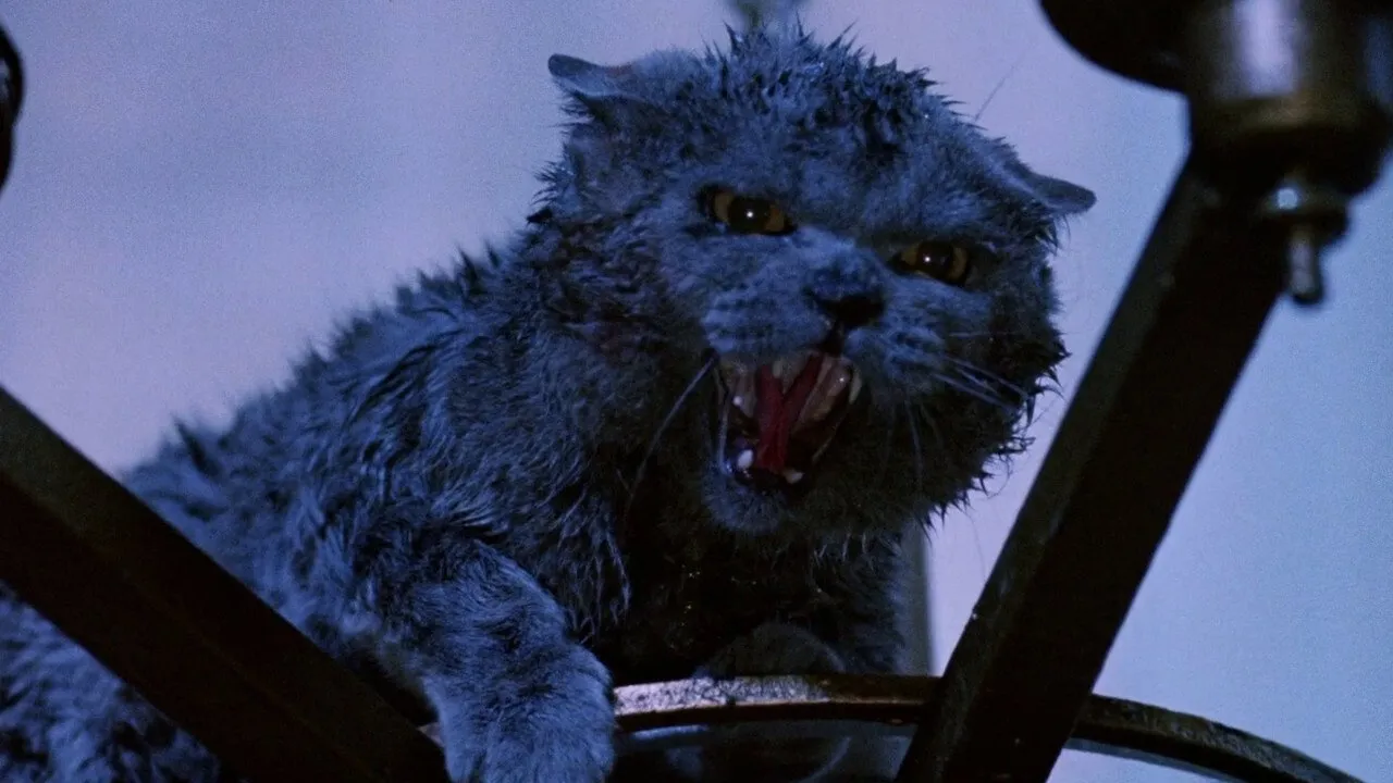 Cat&rsquo;s : Les tueurs d&rsquo;hommes