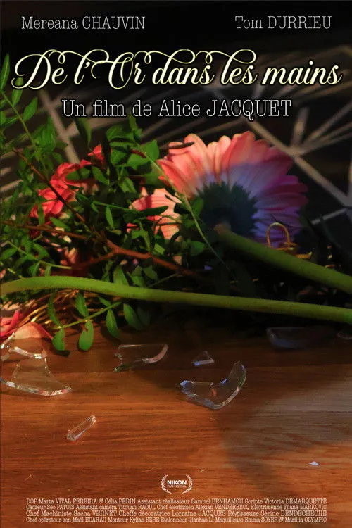 De l'Or dans les mains image 1