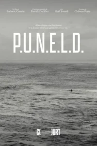P.U.N.E.L.D.