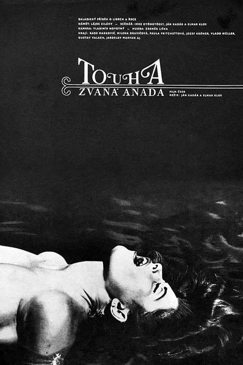 Touha zvaná Anada image 1