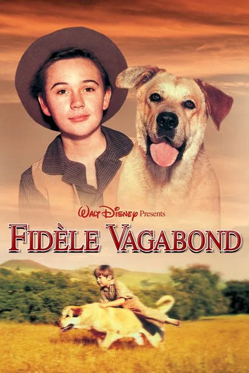 Fidèle vagabond image 1