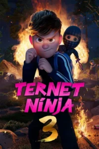 Ternet Ninja 3
