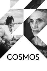 Cosmos