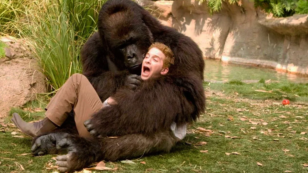 Les 2 font la  »père »