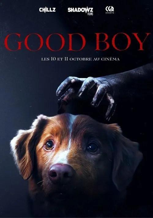Good Boy image 1