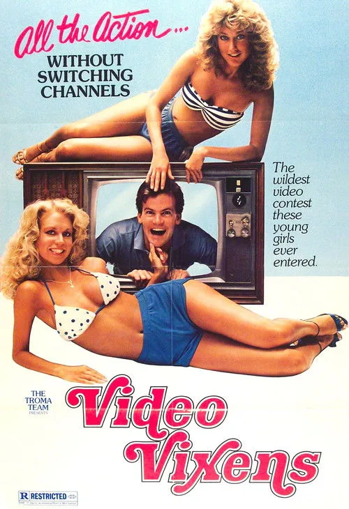 Affiche de Video Vixens!