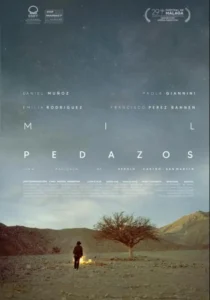 Mil pedazos