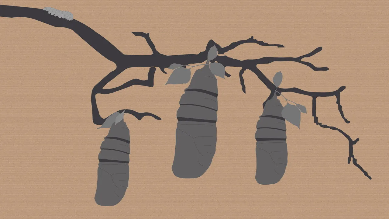 Reel #1: Surfing with Butterflies