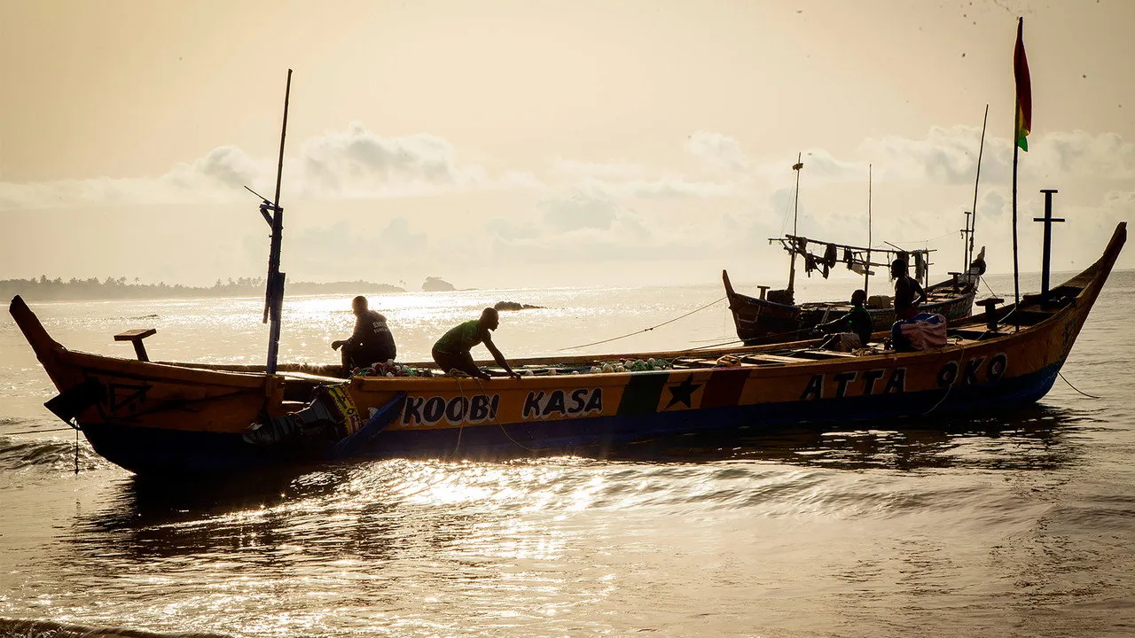 The Fisherman
