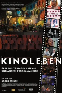Kinoleben – Über das Arsenal in Tübingen und weitere Programmkinos