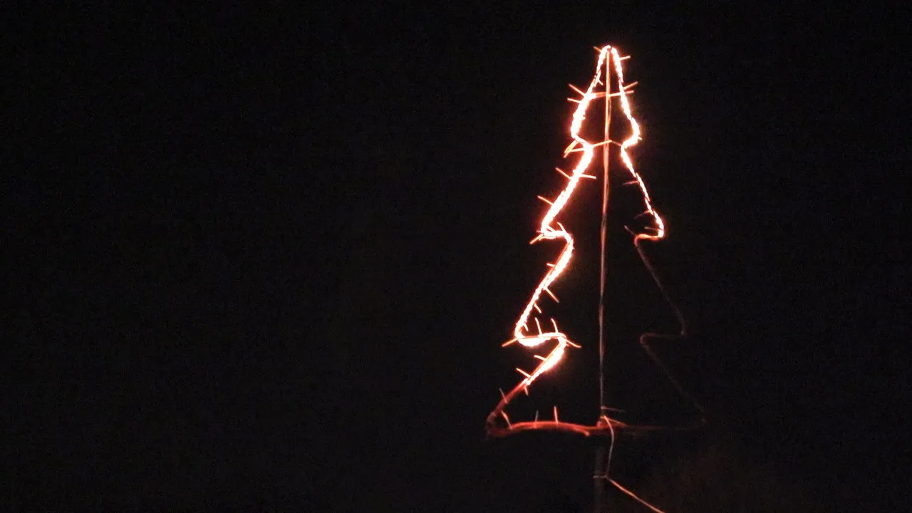 Winter Lights