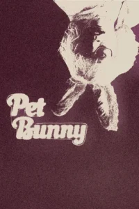 Pet Bunny