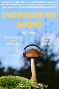 Underground Sound