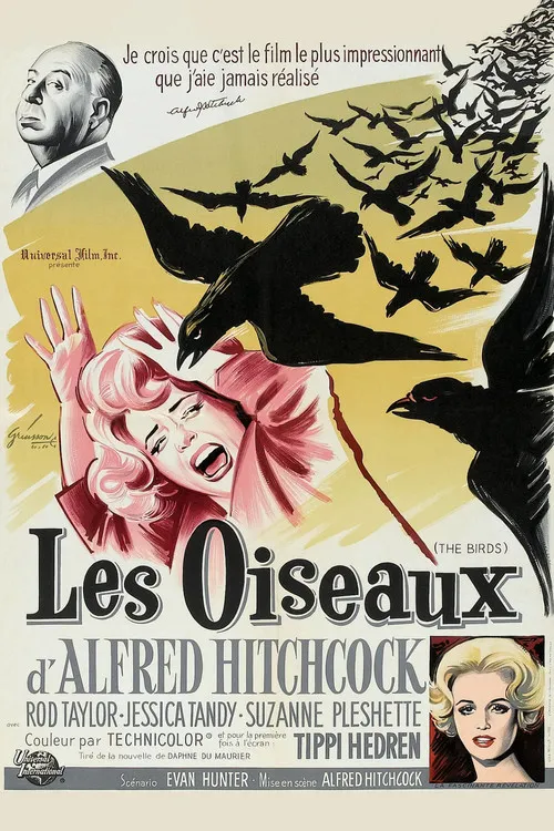 Les Oiseaux image 1