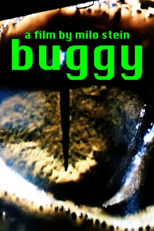 buggy image 1