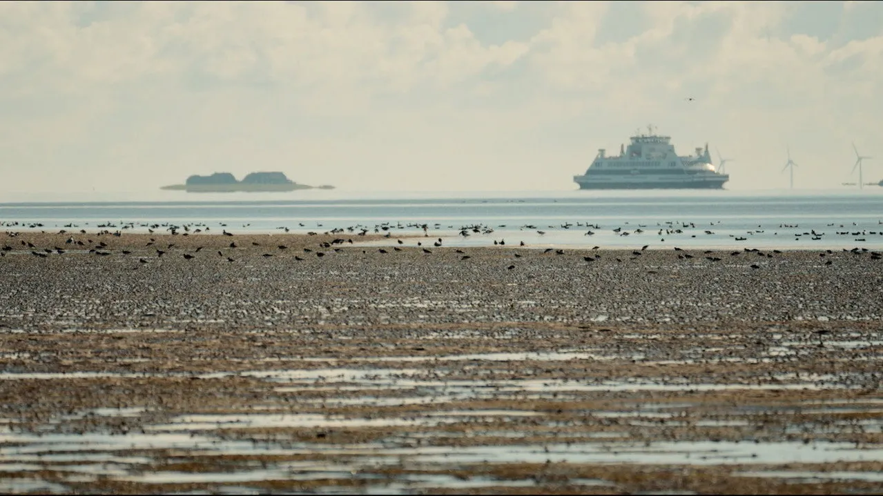 Föhr – 5 Meter über Null