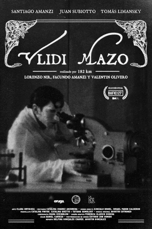 Vlidi Mazo image 1