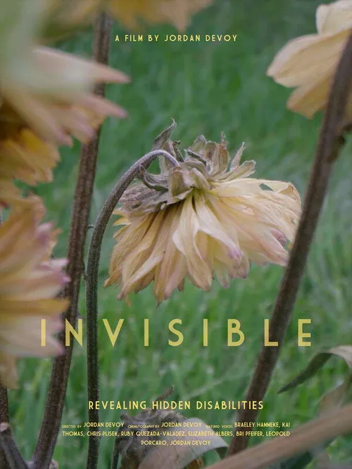 Invisible - Revealing Hidden Disabilities image 1