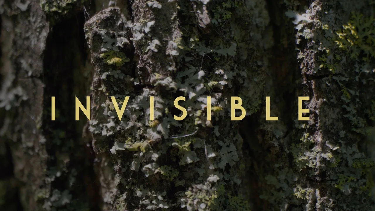 Invisible – Revealing Hidden Disabilities