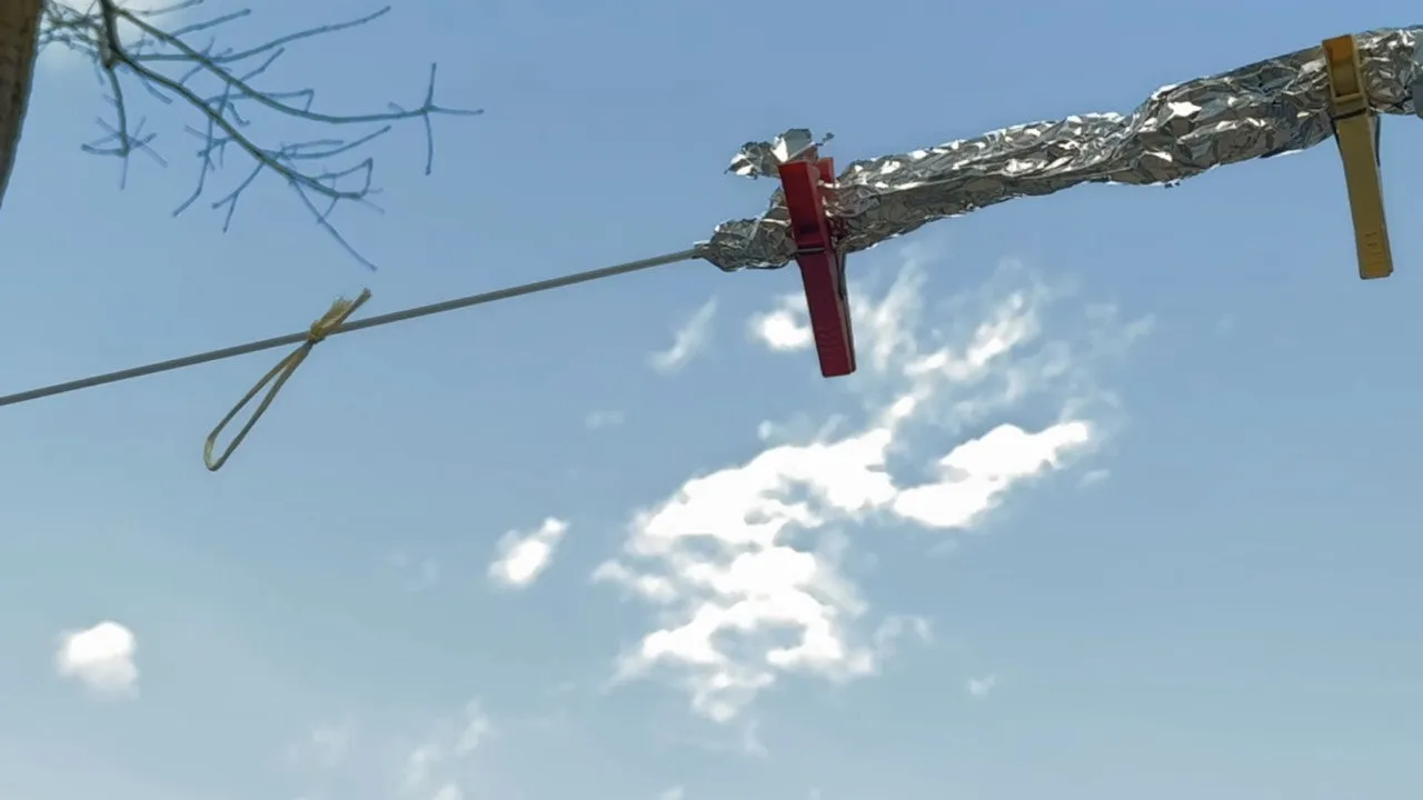 The Wind