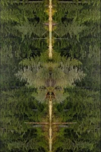 Mirrorpond